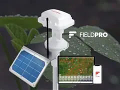 Estação Climática Pluviômetro FieldPRO