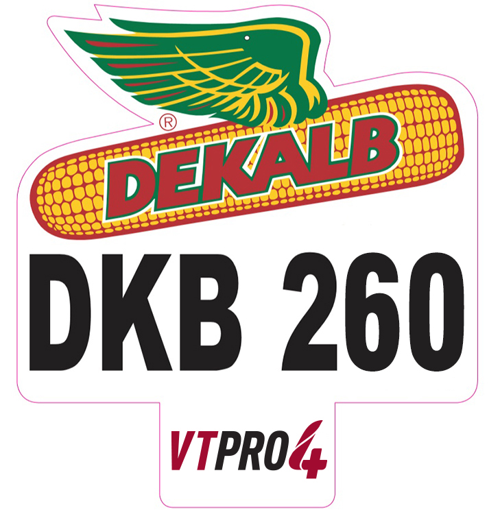 MILHO HIB DKB 260PRO4 PO (ACCELERUS ESSENTIAL)