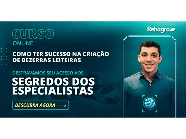 Como ter sucesso na Criação de Bezerras Leiteiras