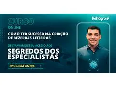 Como ter sucesso na Criação de Bezerras Leiteiras - 0