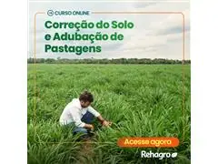 Correção do Solo e Adubação de Pastagens - 0