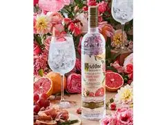 Vodka Ketel One Botanical Grapefruit & Rose 750ml - 5