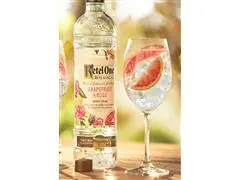 Vodka Ketel One Botanical Grapefruit & Rose 750ml - 8