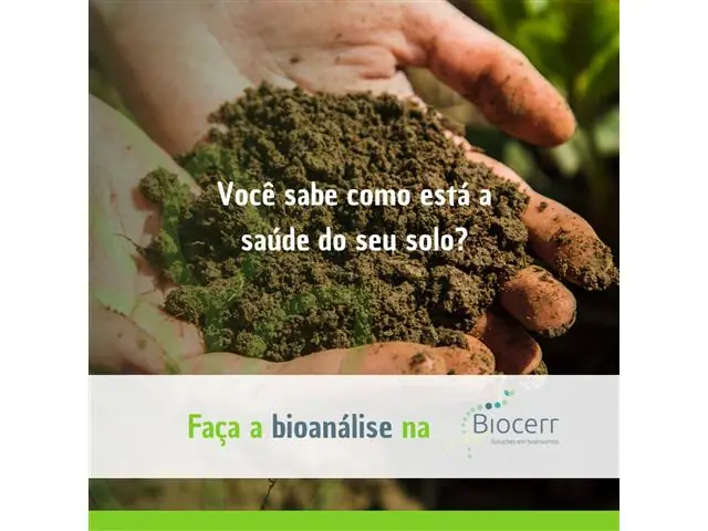 Bioanálise de solo