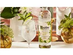 Combo Vodka Ketel One Botanical Cucumber & Mint Garrafa 750ml - 6 Uni - 6