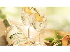 Combo Vodka Ketel One Botanical Peach & Orange Blossom 750ml  - 6 Uni - 8