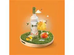 Combo Vodka Ketel One Botanical Peach & Orange Blossom 750ml  - 6 Uni - 1