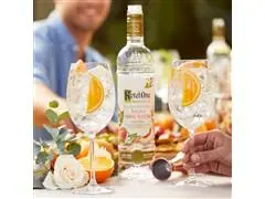 Combo Vodka Ketel One Botanical Peach & Orange Blossom 750ml - 3 Uni - 6