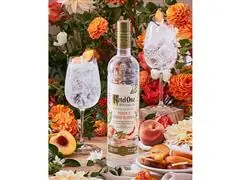 Combo Vodka Ketel One Botanical Peach & Orange Blossom 750ml - 3 Uni - 7