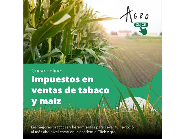 Curso impuestos en ventas de tabaco y maíz