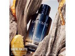 DIOR Sauvage Eau De Toilette 100ML - 2