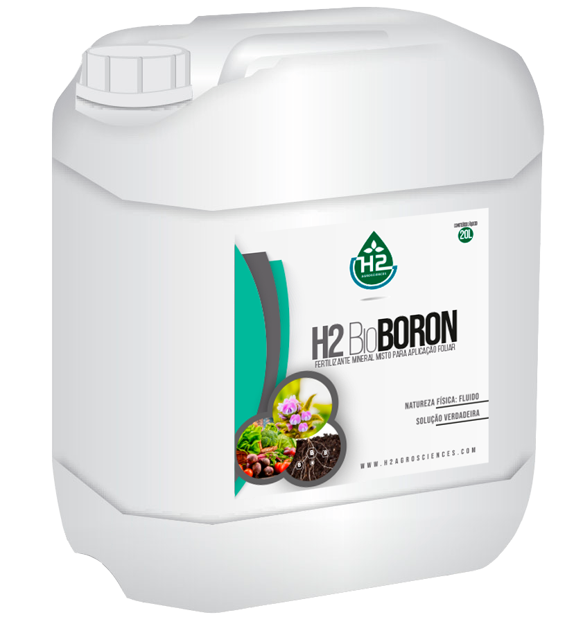 H2 Bioboron