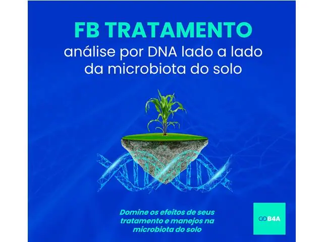 FB Tratamento - B4A Análise por DNA lado a lado da microbiota do solo