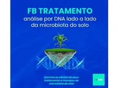 FB Tratamento - B4A Análise por DNA lado a lado da microbiota do solo - 0