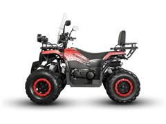 Cuatrimoto Vento Gladiator 200  - 2