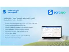 AGROSAP - Indicadores de Preços de Commodities - Semestral - 3