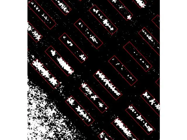 Fenotipagem Digital (2 voos) - 6