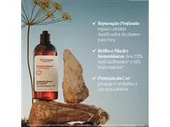Shampoo L'Occitane en Provence Aromacologia Reparação Intensiva 300ML - 2