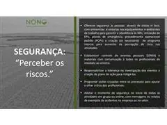 Especialista na Produção de Cana de Açúcar e Gestão de Fazendas - 2