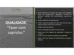 Especialista na Produção de Cana de Açúcar e Gestão de Fazendas - 3