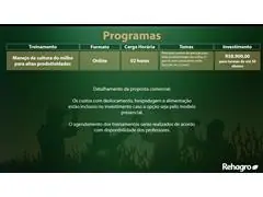 Manejo da cultura do milho para altas produtividades - 1