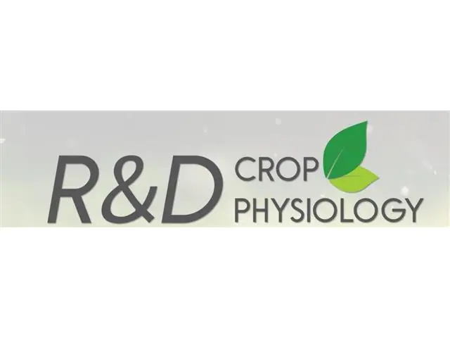 Consultoria agronômica - Marcio Domingues