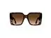 Oculos Sol Colcci Sabrina Demi Marrom Brilho/L Marrom Degr - 1