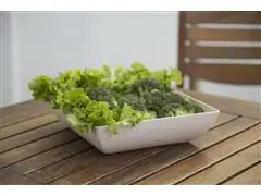 Kit Evo Saladeira Quadrada 3 Peças Marfim - 2