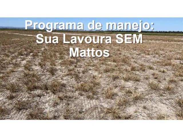 CONSULTORIA NO MANEJO DE PLANTAS DANINHAS