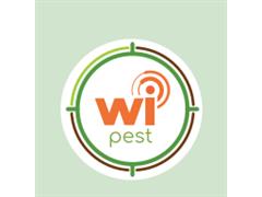 WIPEST TAGS (PACK x 1000UN)