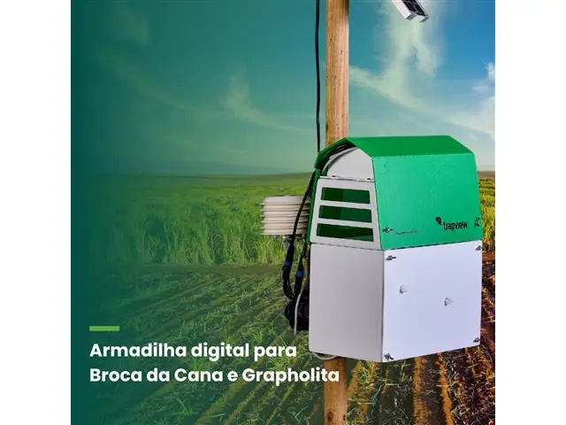 Armadilha digital - Broca da Cana e Grapholita