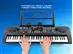 Teclado Musical GADNIC 61 Teclas com Microfone 110V - 2
