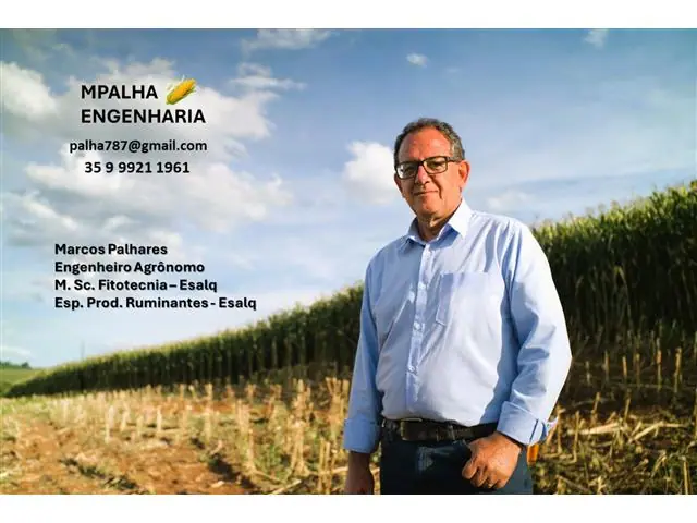 AGROESPECIALISTA MARCOS PALHARES -Milho para silagem de alta qualidade