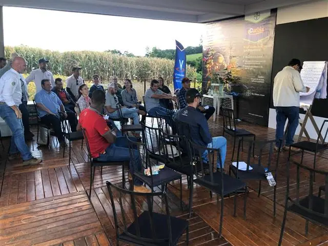 AGROESPECIALISTA MARCOS PALHARES -Milho para silagem de alta qualidade - 2