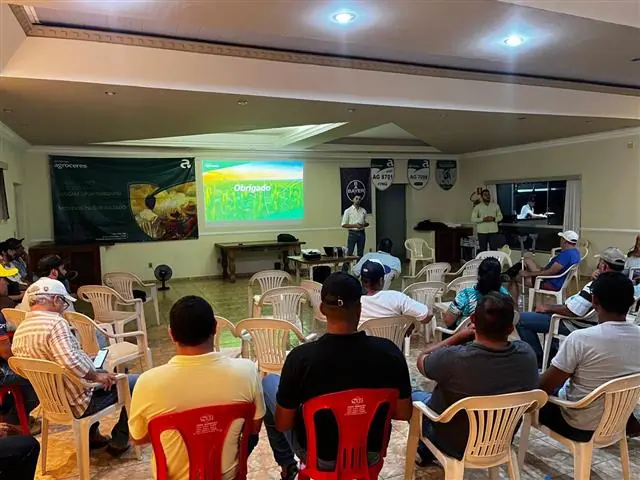 AGROESPECIALISTA MARCOS PALHARES -Milho para silagem de alta qualidade - 3