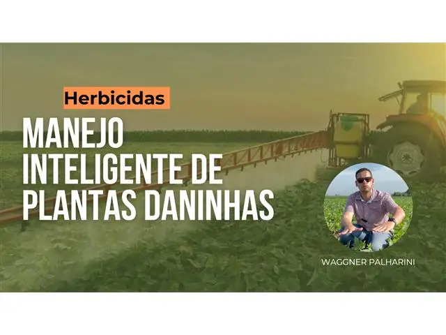 Treinamentos e Palestras no Manejo de Doenças e Plantas Daninhas - 1