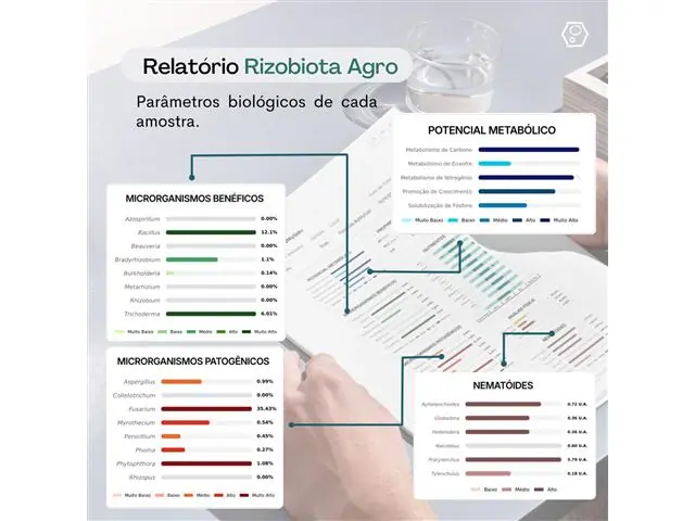 Rizobiota Agro - 3