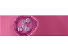 Sabonetes em Barra Natura Tododia Ameixa e Flor Baunilha 5 Unidades - 3