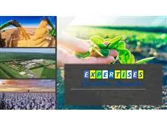 CONSULTORIA AGRONOMICA - 0