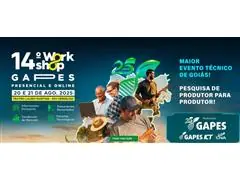 Workshop Gapes ICT - 0