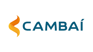 Cambai 56i58 titanium Tsi doro 2