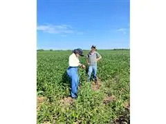 Treinamento técnico, análises nematológicas em loco