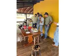 Treinamento técnico, análises nematológicas em loco - 1