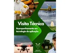 Acompanhamento para consultoria