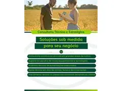 Consultoria em Tecnologia de aplicação (terrestre e aérea) - 5