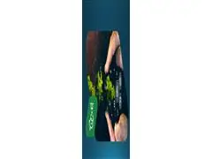 Nutrição Inteligente - 0