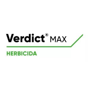 Verdict Max