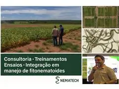 Treinamento em Desenvolvimento Profissional, Palestras e Gerencial - 0