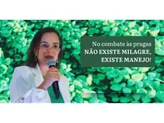 Gabriela Vieira (Entomologista) - 0