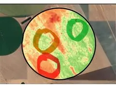 Palestra e treinamento técnico Agrobelts - 5